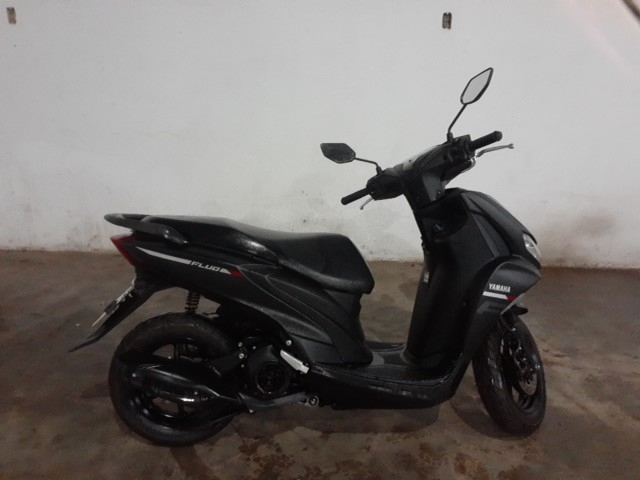FLUO 125 2025