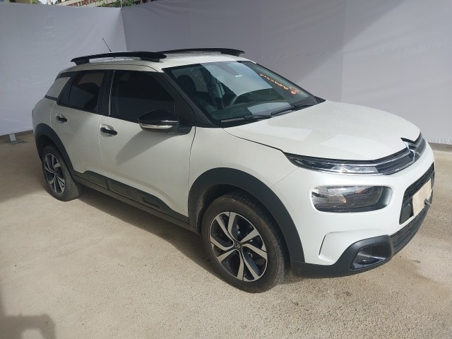 C4CACTUS FEEL P 2022