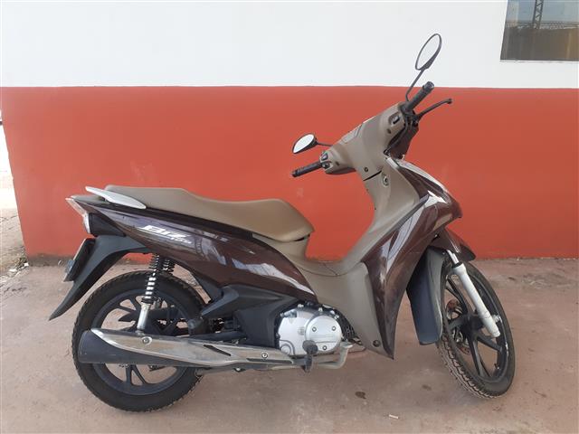BIZ 125 2022